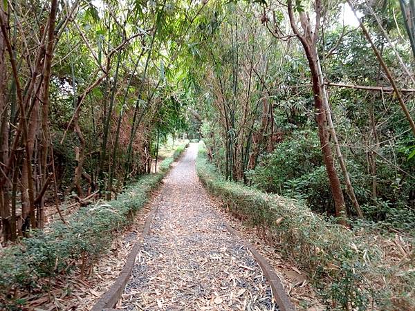 高峰植物園 (161).JPG