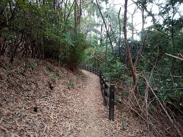 高峰植物園 (172).JPG