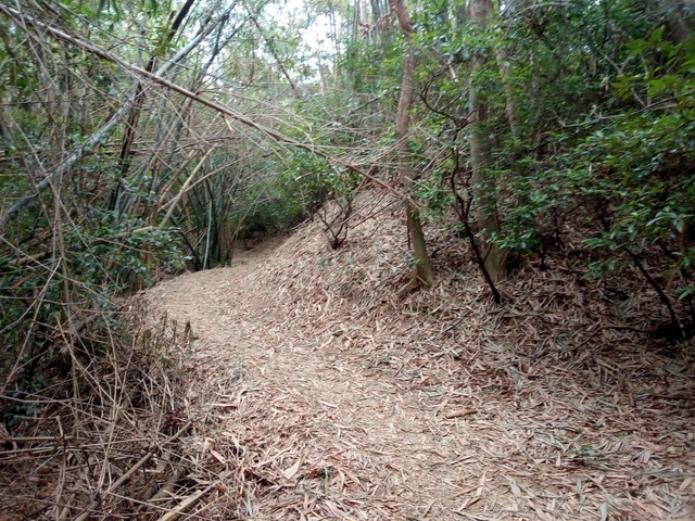 高峰植物園 (173).JPG