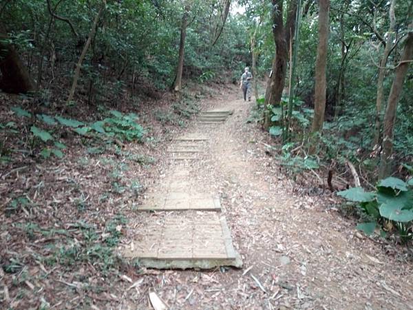 高峰植物園 (185).JPG