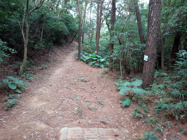 高峰植物園 (187).JPG