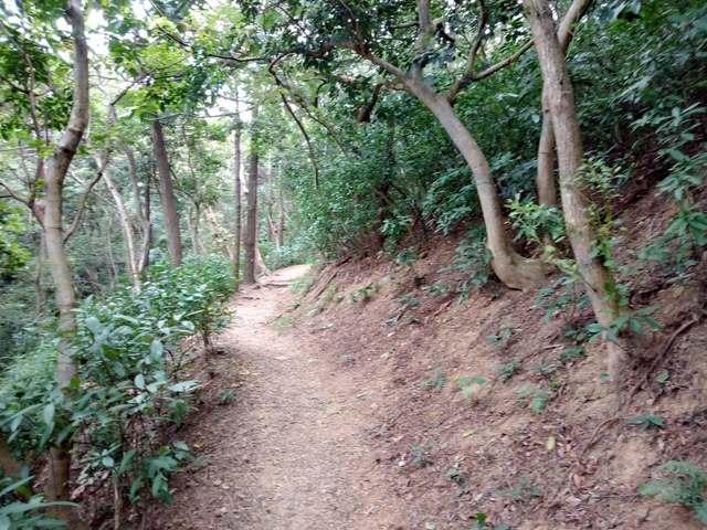 高峰植物園 (191).JPG