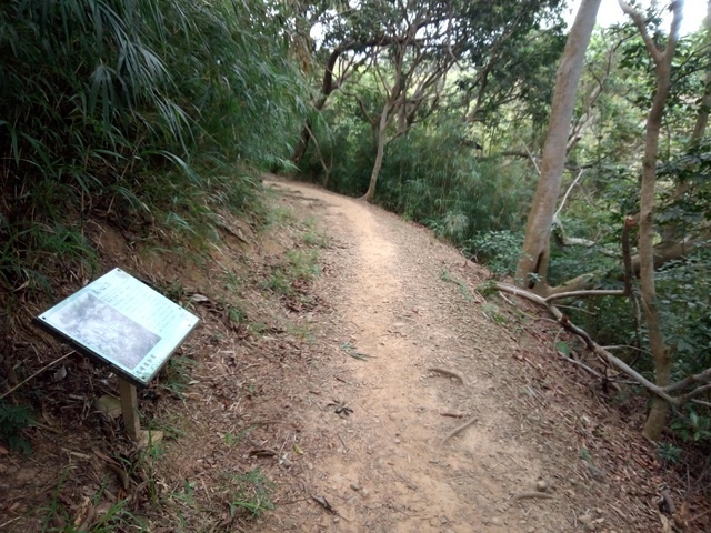 高峰植物園 (210).JPG