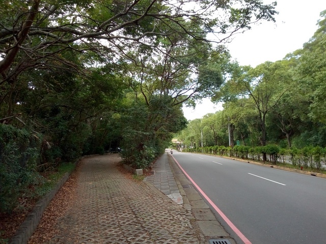 高峰植物園 (222).JPG