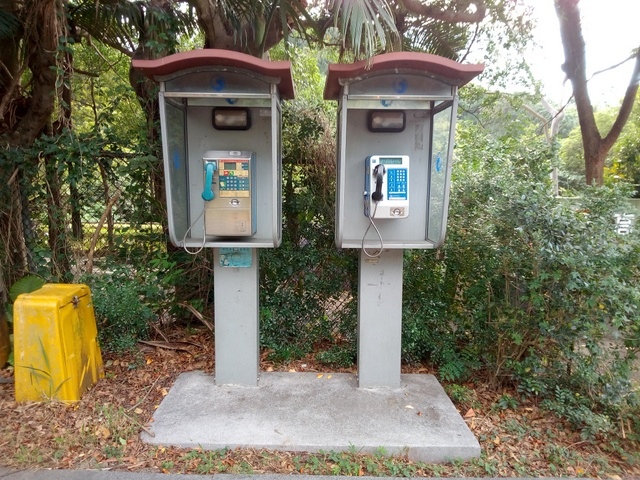 高峰植物園 (231).JPG