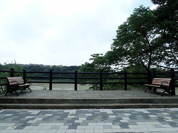 青草湖 (26).JPG