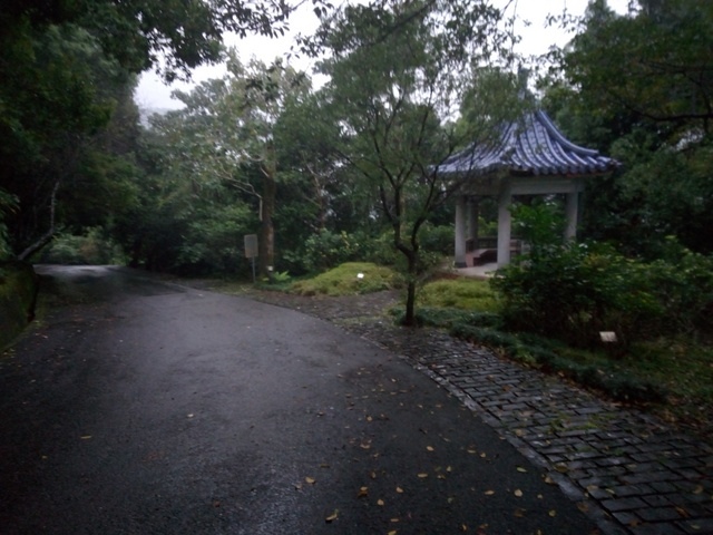 仁山植物園 (174).jpg