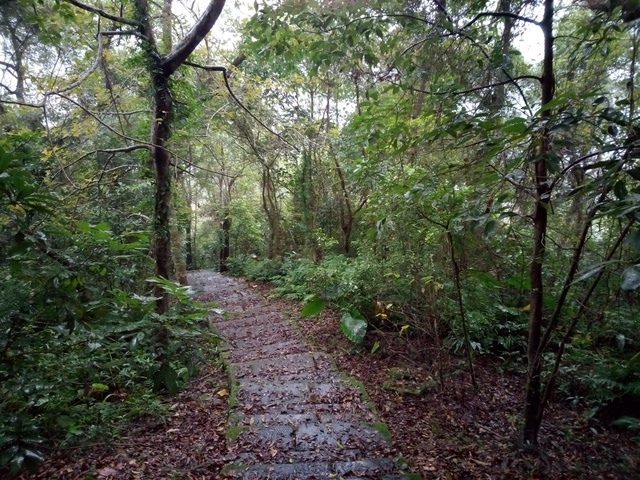 仁山植物園 (2).JPG