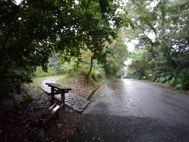 仁山植物園 (7).JPG