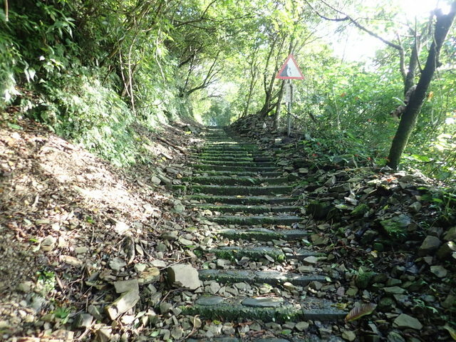 仁山植物園 (20).JPG