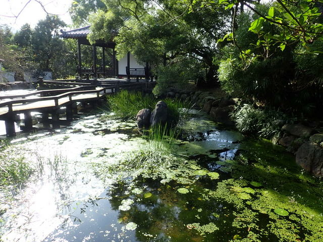 仁山植物園 (48).JPG