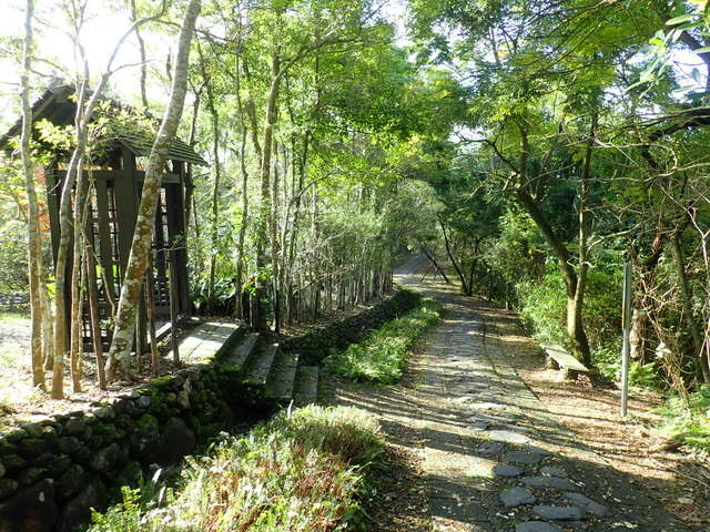 仁山植物園 (62).JPG