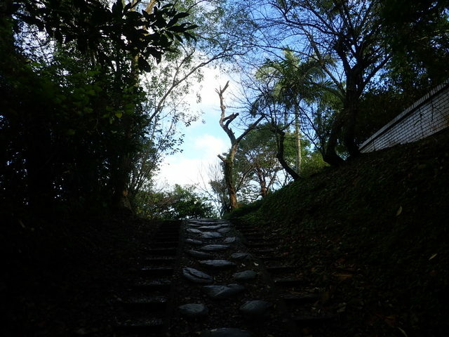 仁山植物園 (77).JPG