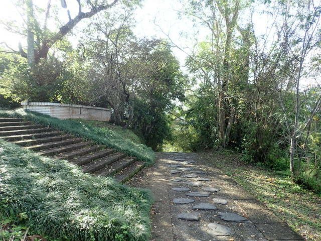 仁山植物園 (82).JPG