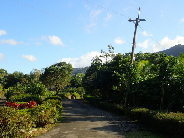 仁山植物園 (124).JPG