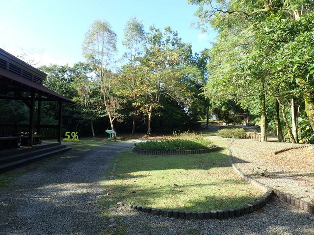 仁山植物園 (117).JPG