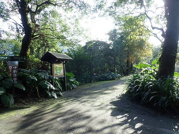 仁山植物園 (131).JPG