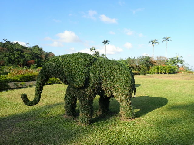 仁山植物園 (129).JPG