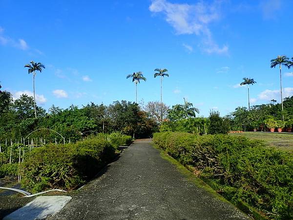 仁山植物園 (127).JPG