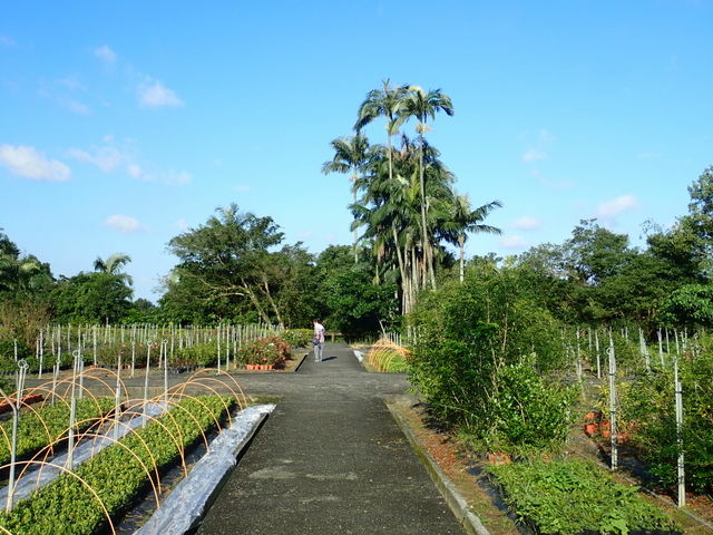 仁山植物園 (126).JPG