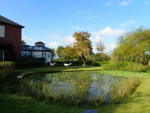 仁山植物園 (149).JPG