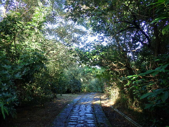 仁山植物園 (158).JPG