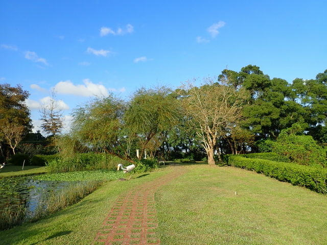 仁山植物園 (152).JPG