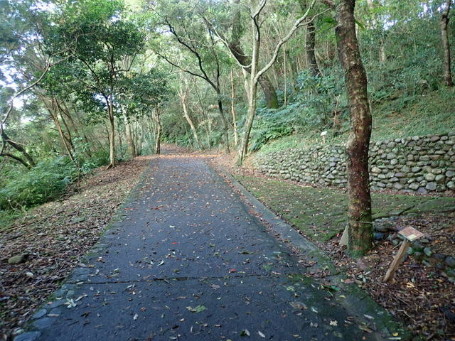 仁山植物園 (176).JPG