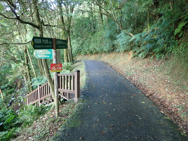 仁山植物園 (179).JPG