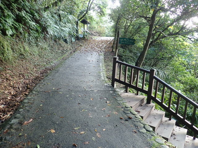 仁山植物園 (181).JPG