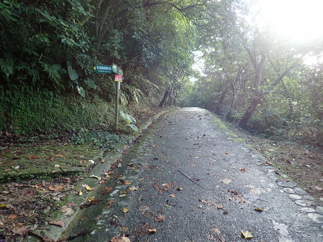 仁山植物園 (184).JPG