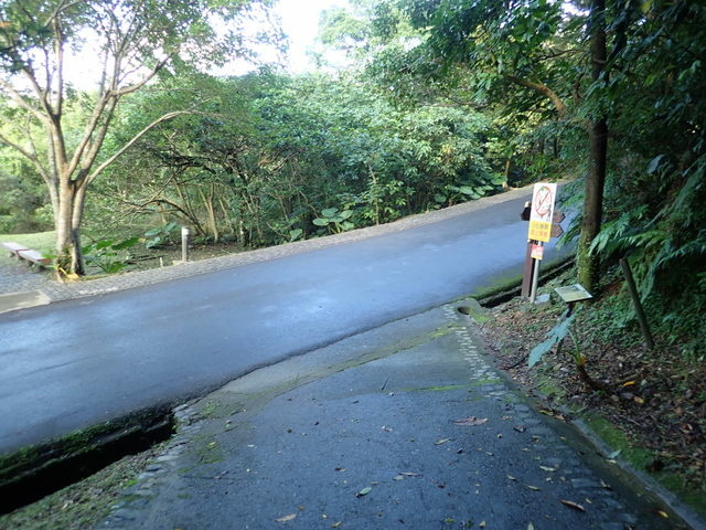 仁山植物園 (185).JPG