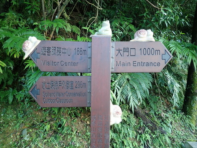 仁山植物園 (187).JPG