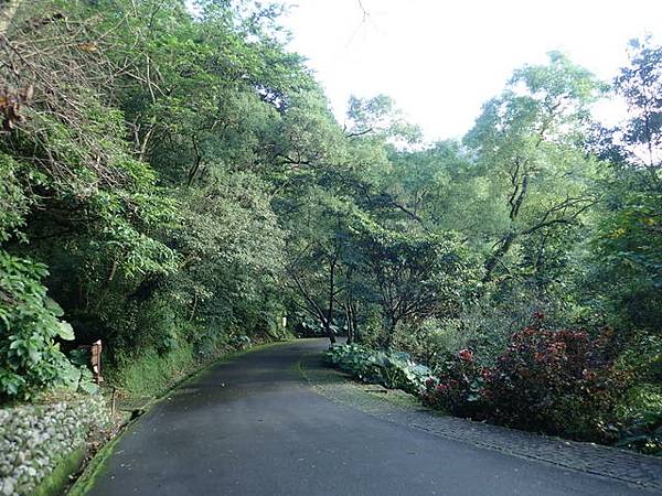 仁山植物園 (194).JPG