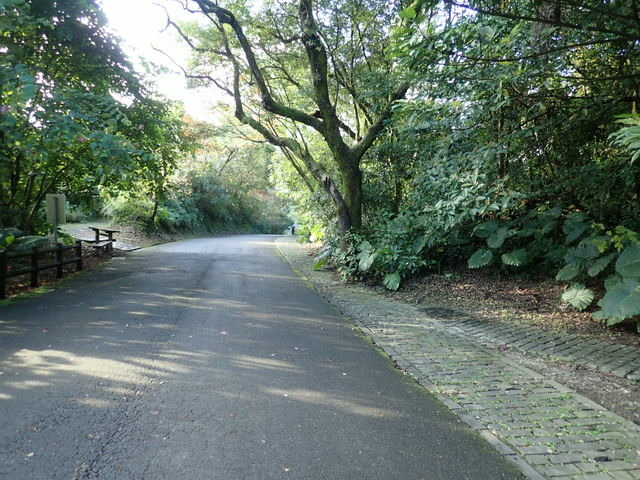 仁山植物園 (200).JPG