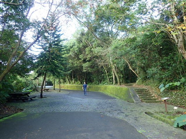 仁山植物園 (208).JPG