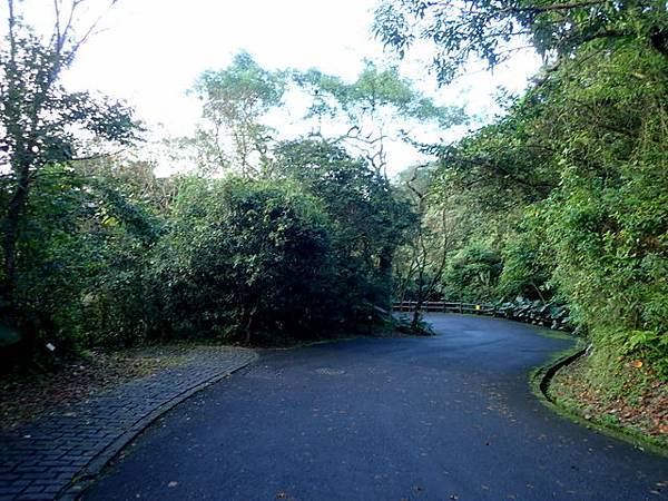 仁山植物園 (210).JPG