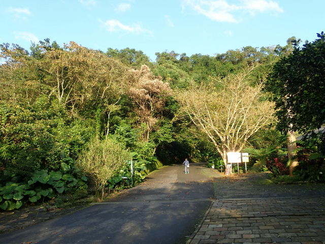 仁山植物園 (224).JPG
