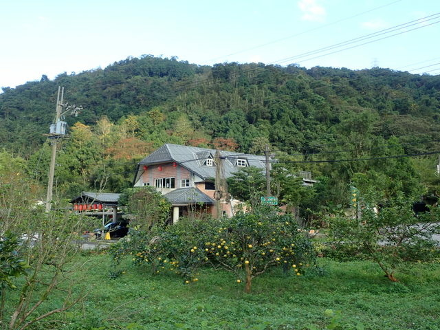 仁山植物園 (235).JPG