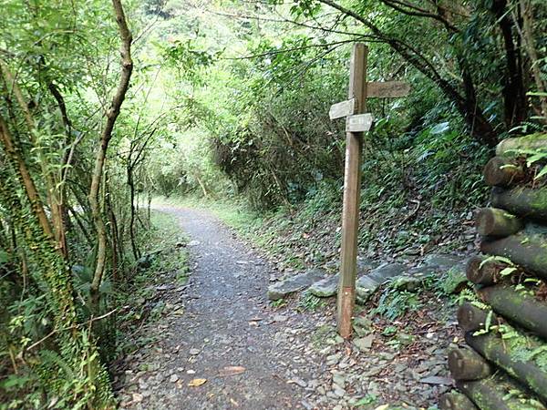 新寮瀑布 (22).JPG