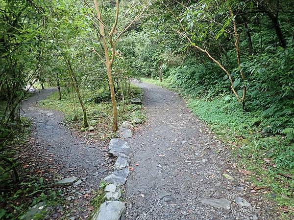 新寮瀑布 (52).JPG