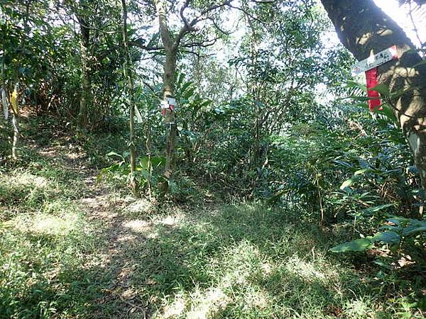 基隆天際線 (65).JPG