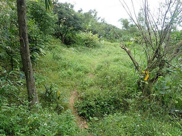 基隆天際線 (110).JPG