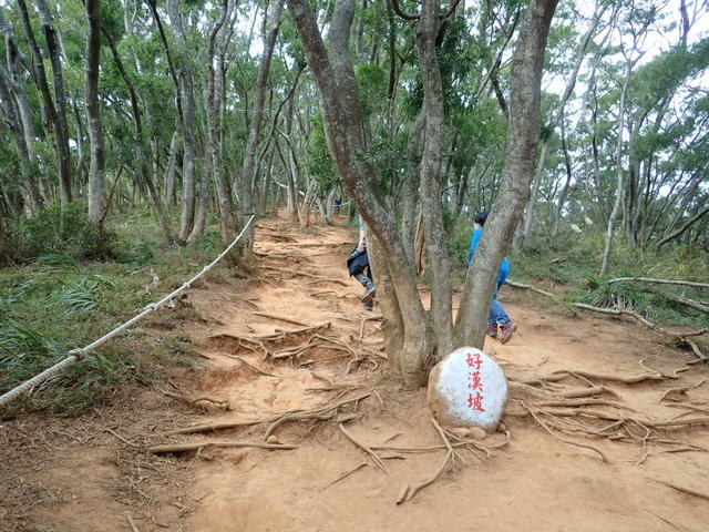 三義火燄山 (44).JPG