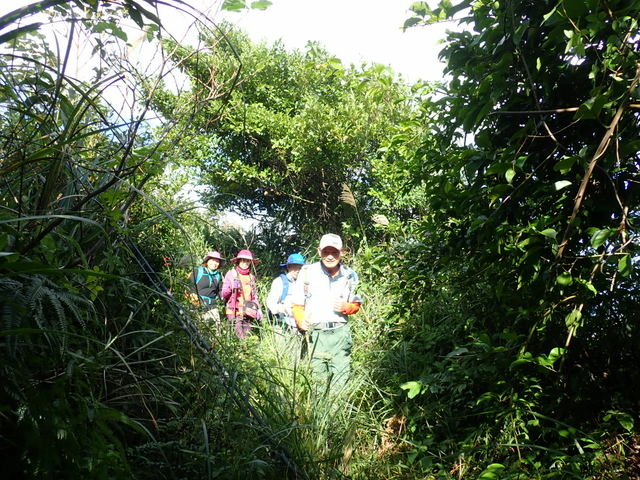 基隆天際線 (671).JPG