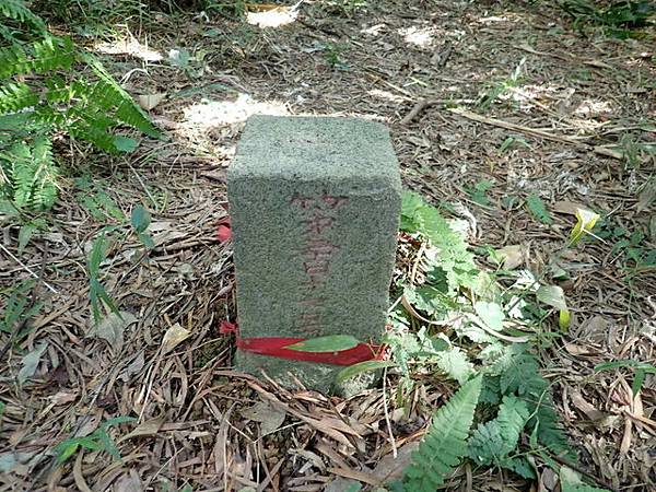 基隆天際線 (702).JPG