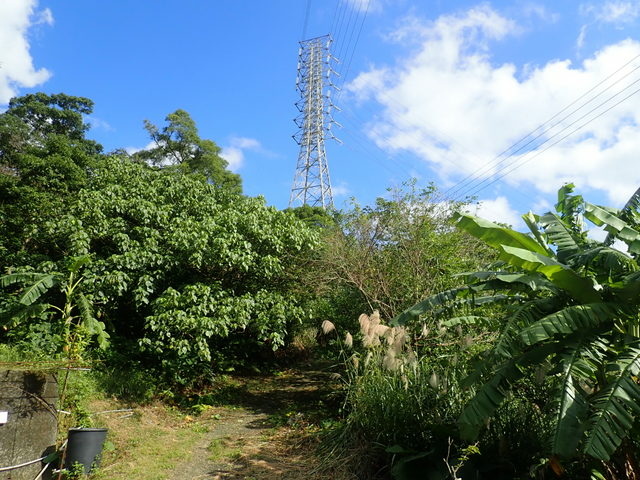 基隆天際線 (712).JPG