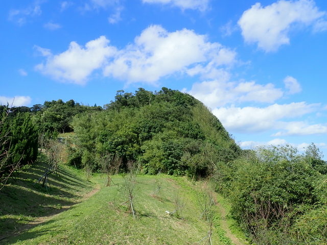 基隆天際線 (758).JPG