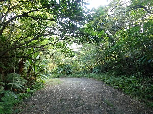 基隆天際線 (433).JPG