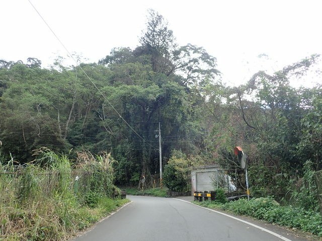 橫嶺山步道 (5).JPG